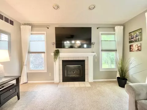 Living - 4848 Ginkgo Ln, Jackson, MI 49201 photo 3 of 5