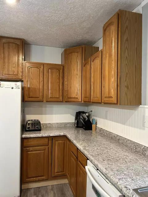 Kitchen - 404 S Hemlock St, Evart, MI 49631 photo 4 of 16