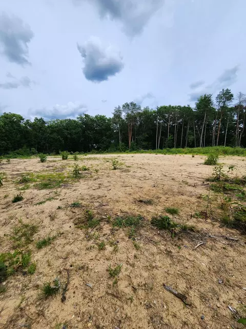 V/l W Jenks Road, Greenville, MI 48838