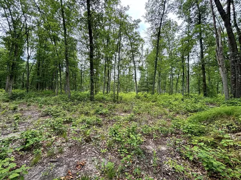 V/l 109th Avenue, Pullman, MI 49450 photo 13