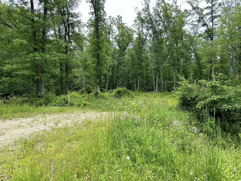 V/l 109th Avenue, Pullman, MI 49450 photo 3