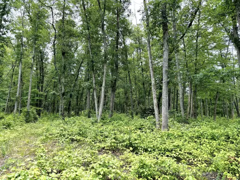 V/l 109th Avenue, Pullman, MI 49450 photo 6