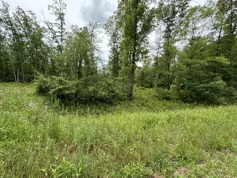 V/l 109th Avenue, Pullman, MI 49450 photo 16