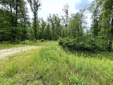 V/l 109th Avenue, Pullman, MI 49450 photo 15