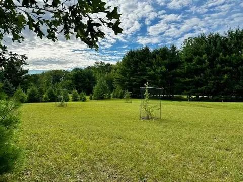 9300 E Washington Rd, Walkerville, MI 49459 photo 11