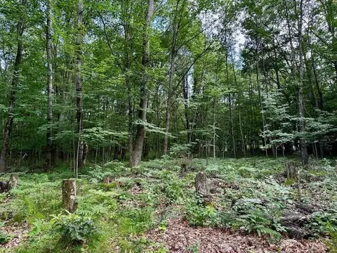 9300 E Washington Rd, Walkerville, MI 49459 photo 4