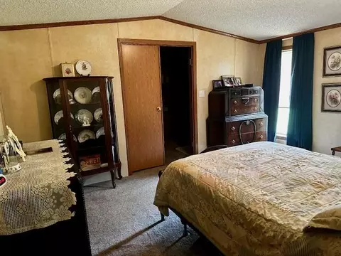 9058 E Loop Rd, Hesperia, MI 49421 photo 6