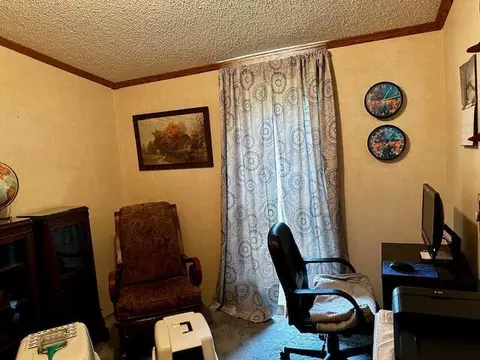 9058 E Loop Rd, Hesperia, MI 49421 photo 9