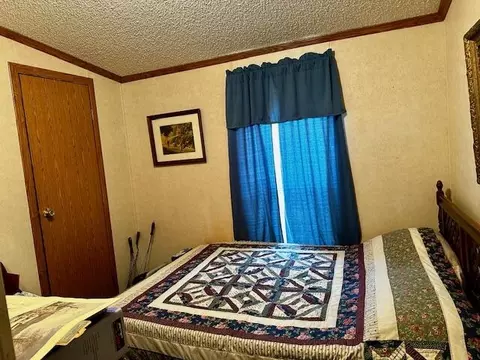 9058 E Loop Rd, Hesperia, MI 49421 photo 8
