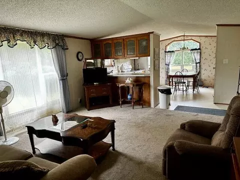 9058 E Loop Rd, Hesperia, MI 49421 photo 3