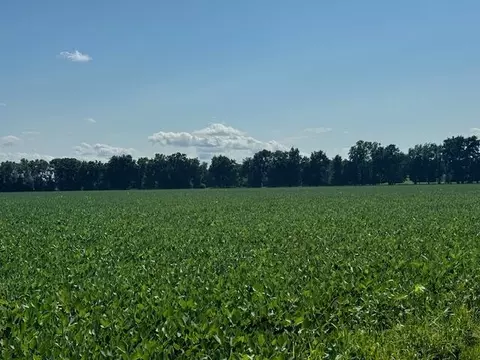River Road, Coldwater, MI 49036
