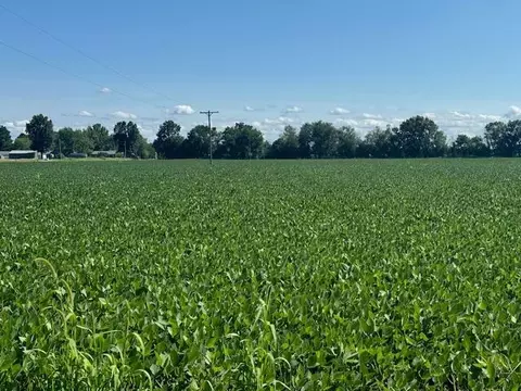 River Road, Coldwater, MI 49036 photo 7