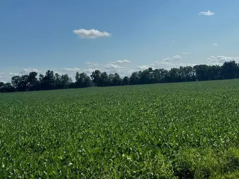 River Road, Coldwater, MI 49036 photo 6