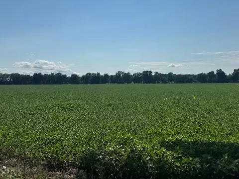 River Road, Coldwater, MI 49036 photo 2