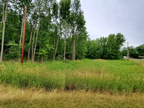 S Dearing Road, Spring Arbor, MI 49283 photo 4