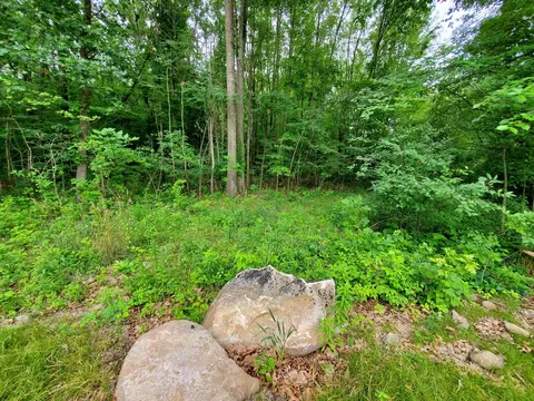 S Dearing Road, Spring Arbor, MI 49283 photo 2