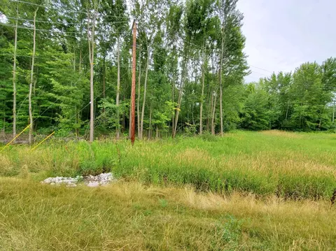S Dearing Road, Spring Arbor, MI 49283 photo 3