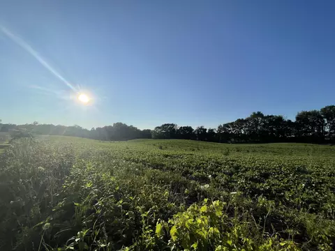 V/l 16th Street, Hopkins, MI 49328