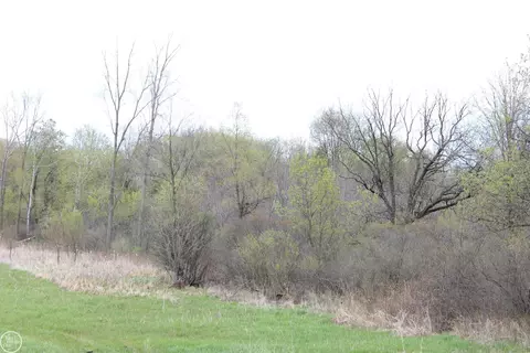 Vl Morrill Road, Jackson, MI 49201 photo 2
