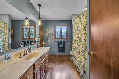 142 Timber Trl, Brooklyn, MI 49230 photo 33