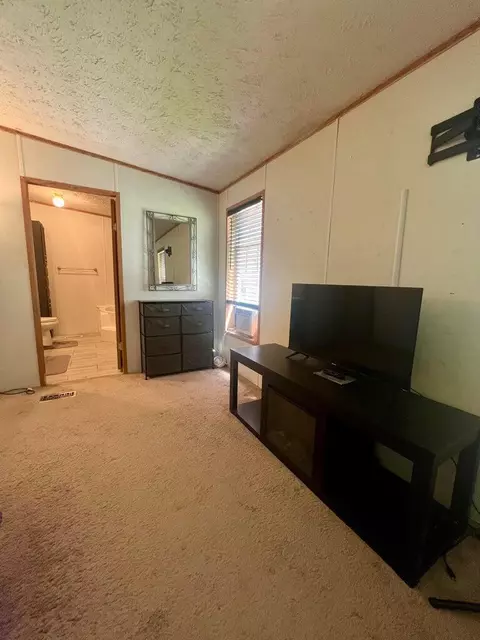 8810 S Bradby, Baldwin, MI 49304 photo 8