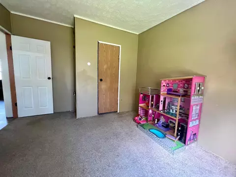 8810 S Bradby, Baldwin, MI 49304 photo 17