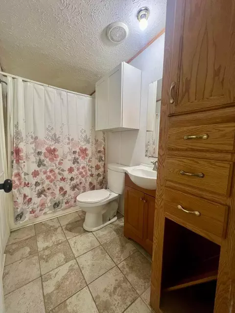 8810 S Bradby, Baldwin, MI 49304 photo 5