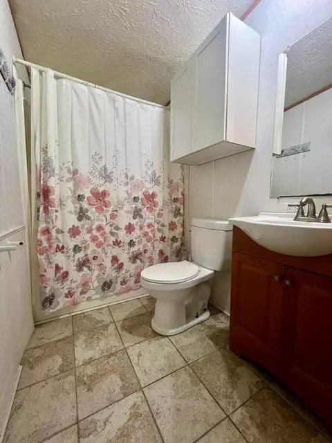 8810 S Bradby, Baldwin, MI 49304 photo 4