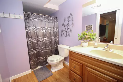 17385 Birch Leaf Ct, Three Rivers, MI 49093 photo 43