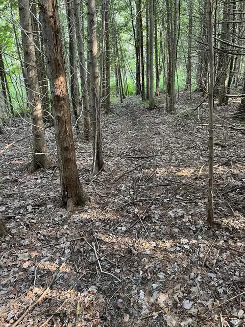 Swamp Rd, Frankfort, MI 49635