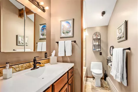 783 Rose Dr, Ann Arbor, MI 48103 photo 25