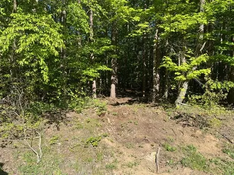 Parcel M Peach Creek, Fennville, MI 49408