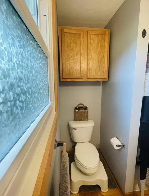 6680 W Lowe Rd, Saint Johns, MI 48879 photo 16