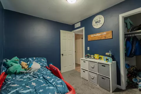 120 Cherry St, Constantine, MI 49042 photo 22