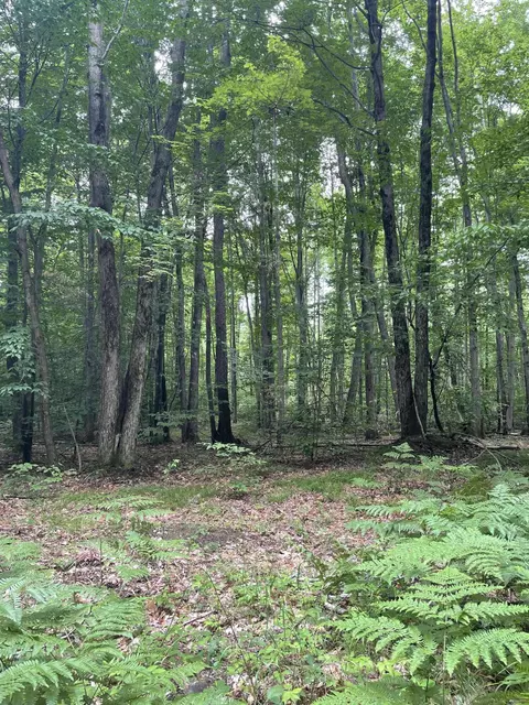 N Forest Lane, Scottville, MI 49454