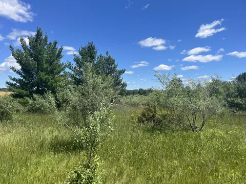 V/l Stiles Road, Scottville, MI 49454