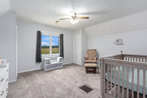 2136 Struble Rd, Muir, MI 48860 photo 22