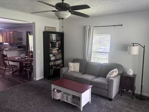 1726 E Pakes Rd, Stanton, MI 48888 photo 4