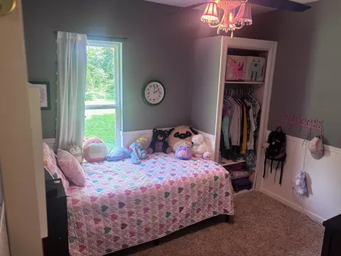 1726 E Pakes Rd, Stanton, MI 48888 photo 12