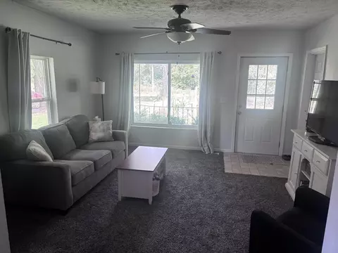 1726 E Pakes Rd, Stanton, MI 48888 photo 5