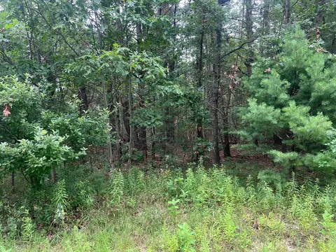 Whitehall Road, Whitehall, MI 49461