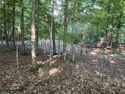 Vl Fountain Road, Ludington, MI 49431