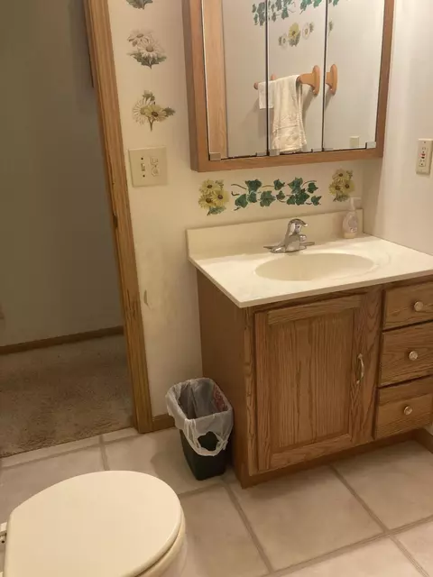 7893 E Mcbrides Rd, Edmore, MI 48829 photo 17