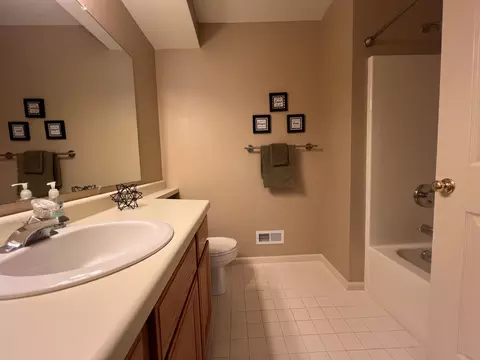 369 Butler Ct, Marshall, MI 49068 photo 11