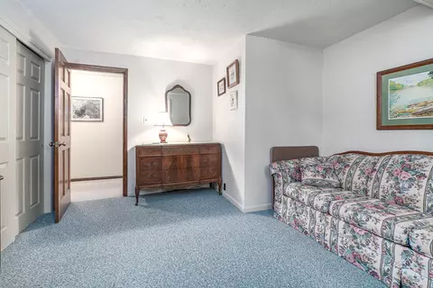 91032 Bluff Dr, Marcellus, MI 49067 photo 19