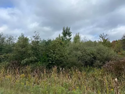 E Riley Thompson Road, Muskegon, MI 49445