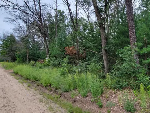 V/l Grove Street, Baldwin, MI 49304