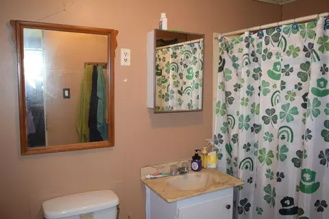 263 Washington St, Bronson, MI 49028 photo 18