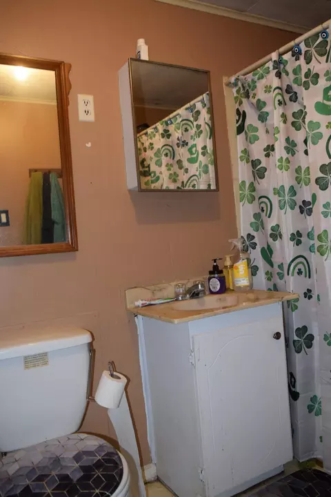 263 Washington St, Bronson, MI 49028 photo 19