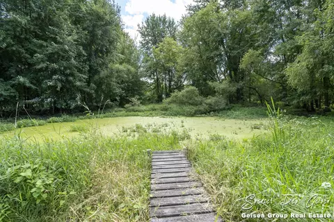 7041 Ingalls Rd, Belding, MI 48809 photo 48